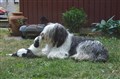 DSC_0125.JPG